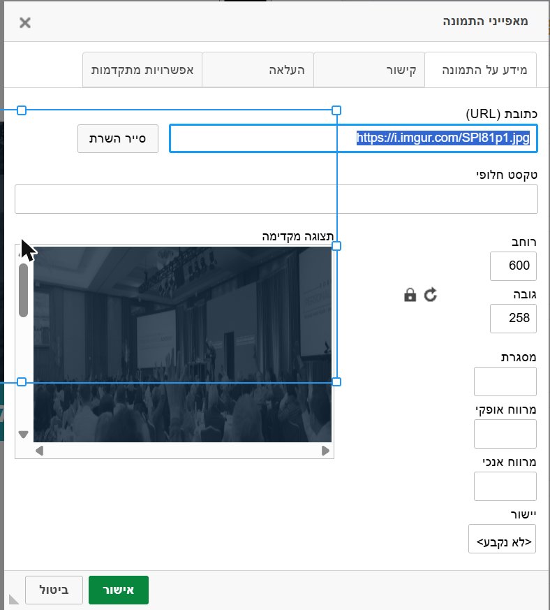 חלון "מאפייני התמונה", לשונית "מידע על התמונה"